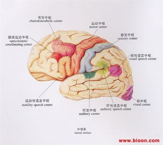 医用一次性灌肠器